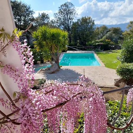 Sardinia Family - Gaia With Private Pool In The Countryside * Sant'Antonio di Gallura